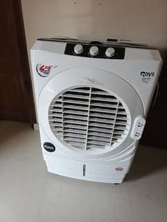 Rays Air Cooler Special Edition model 2022 0