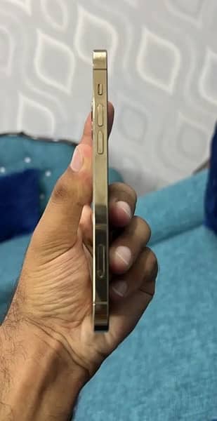 Iphone 12 pro pta dual physical approved 4