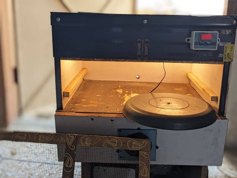 Incubator for sale 1