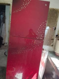 Pell glass door full size refrigerator