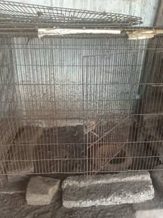 for sale iron cage  5