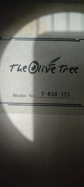 guitar olive tree 2