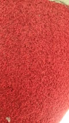 carpet