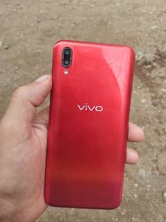 Vivo