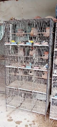 12 Portion Cage for Sale