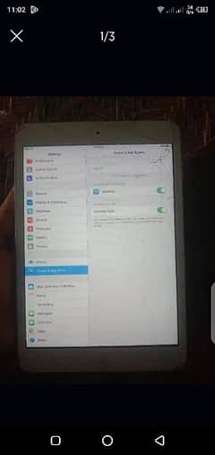 iPad