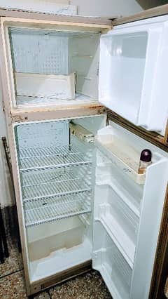 Fridge