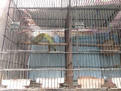 folding cage 3 portion