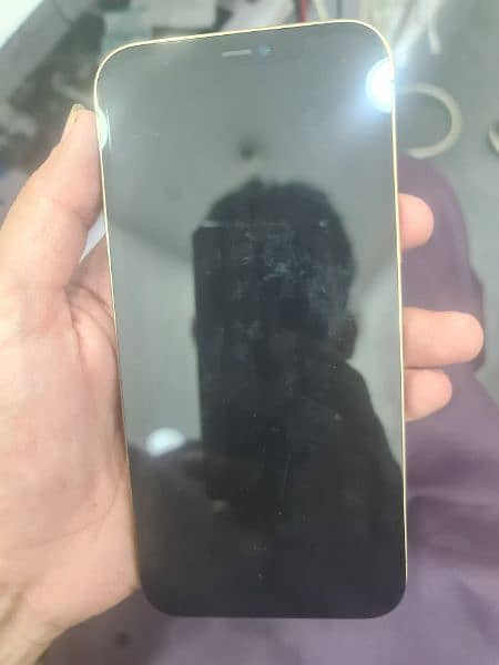 12 pro max iCloud lcd 0