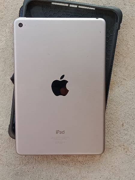 iPad mini 4 2