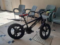 Whatsapp No 03355155971 Royal rider bicycle new shamans gears new seat