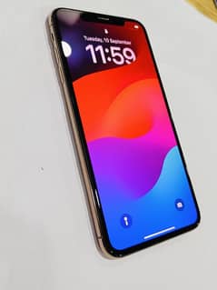 Xs Max 64GB PTA Approved