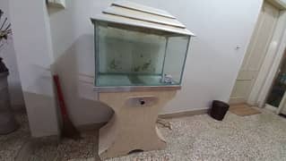 aquarium