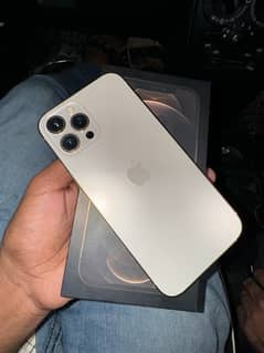 Iphone 12 Pro Max PTA Approved