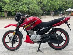 Yamaha ybr 125g 2019 for sale | Excellent condition