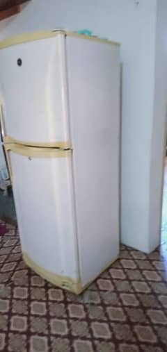 Pel medium size refrigerator