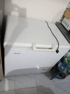 Haier Freezer