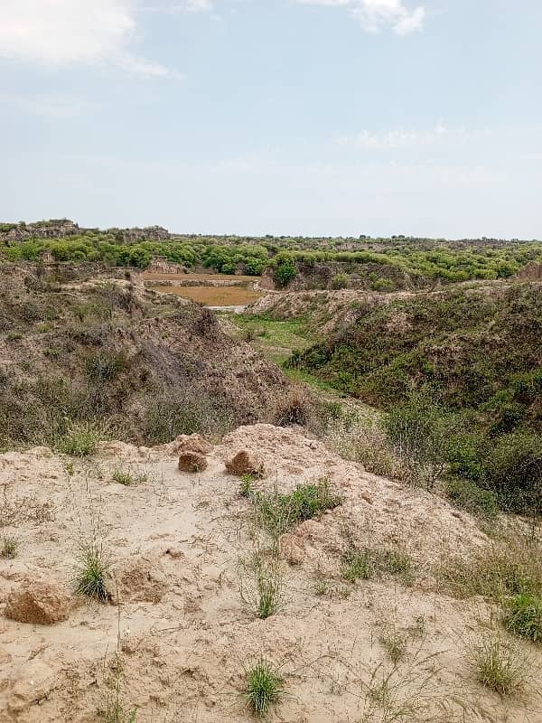 90 Kanal Agriculture Land For Sale In Balkasar Chakwal 9