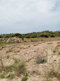 100 Kanal Agriculture And Farmhouse Land For Sale In Balkasar Chakwal