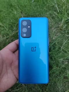 oneplus