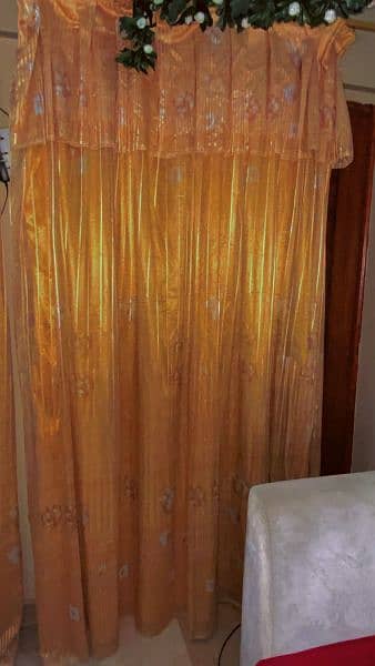 4 Golden Curtain (PARDAI) 2