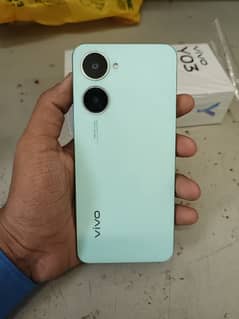 vivo