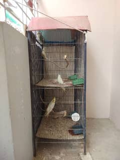 2 floor birds cages