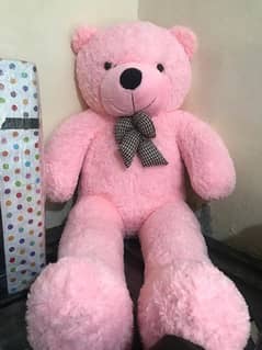 Teddy bear Availble