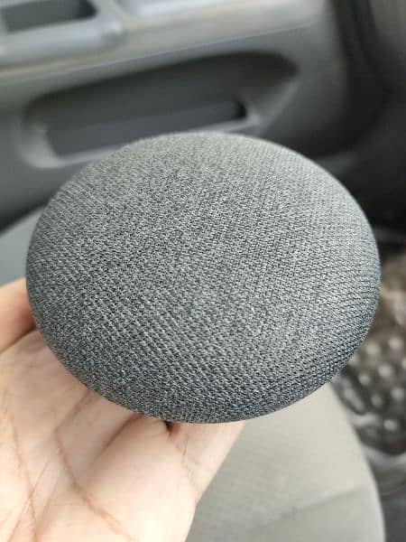 Google Nest Mini Voice control 2