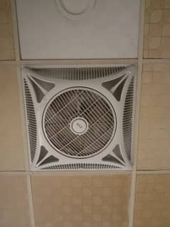 celling fan