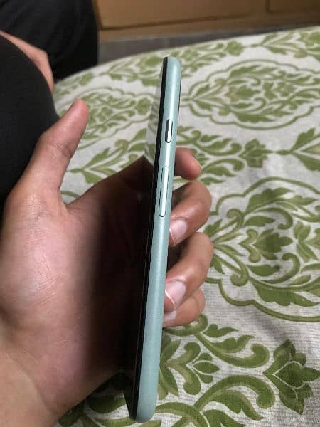 Pixel 5 PTA Approved Sage Green 4