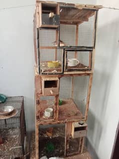 finch aur cage for sale