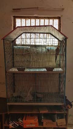 duoble stroy cage wide size