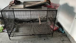 cage for all kinds or parrots for sale