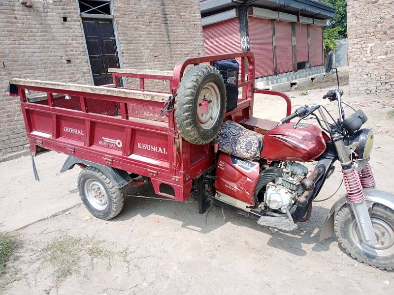 Kaushal loader Rickshaw 1