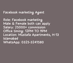 Digital marketing Agent