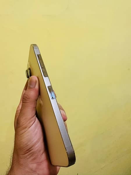 Iphone 14 Pro Max Non Pta Factory 256 GB Gold 3