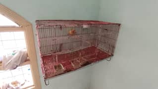 All setup for sale lovebird cages boxes read add