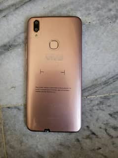 vivo