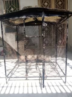 cage For parrots and peigon