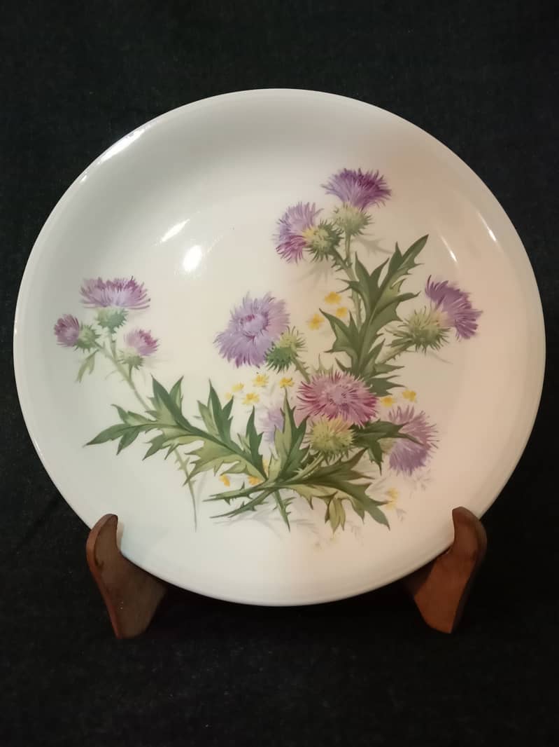 English Plates Collection 15