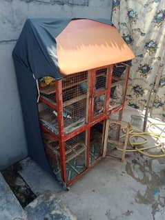 BIG hen cage.