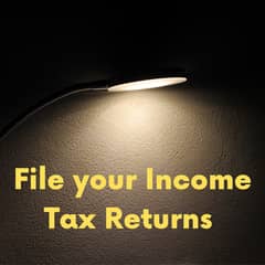 Professional Income Tax Return Filing / Get ATL Status 0