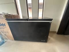 PEL 2 door glass top deep freezer