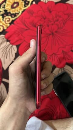 iPhone se pta aproved