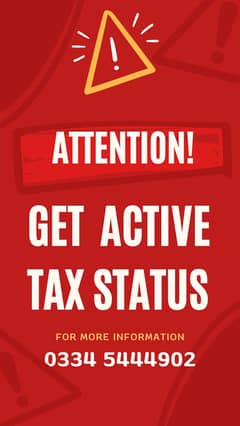 Professional Income Tax Return Filing / Get ATL Status 0