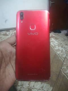 vivo