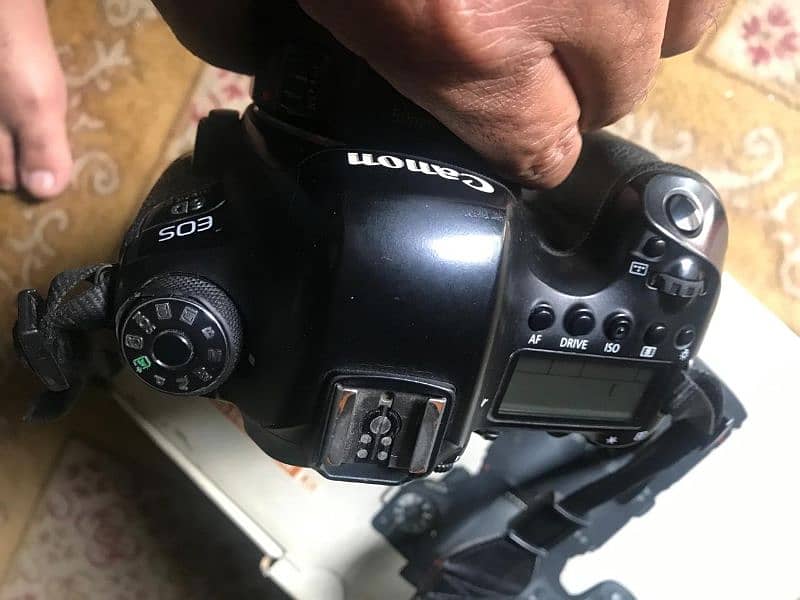 6D mark Ii only body for sale 2