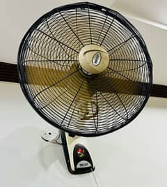 fan