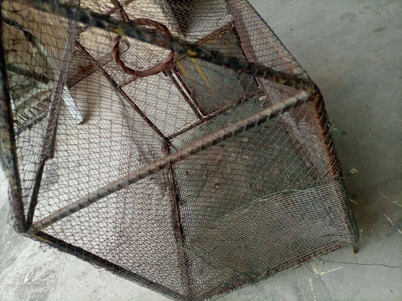 iron cage for sale full strong 2